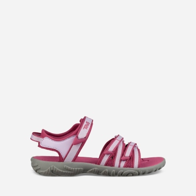 Teva Tirra - Kids' Teva Slip Ons - Rose / Purple | India (BUCP87921)